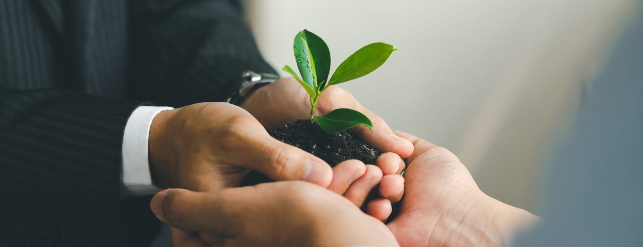 Business,Hands,Holding,Green,Plants,Together,Are,The,Symbol,Of